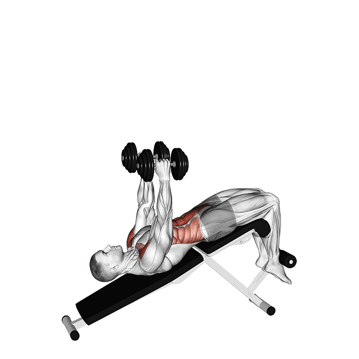 Dumbbell Decline Overhead Sit-up exercise demonstration for Waist, Dumbbell
