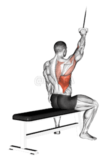 Alternate Lateral Pulldown demonstration