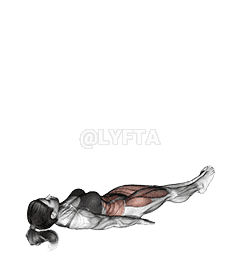 Alternate Lying Floor Leg Raise demonstration