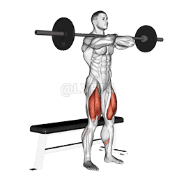Barbell Bench Front Squat demonstration