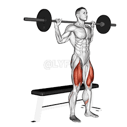 Barbell Bench Squat demonstration