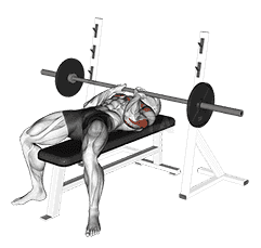 Barbell Close-Grip Bench Press demonstration