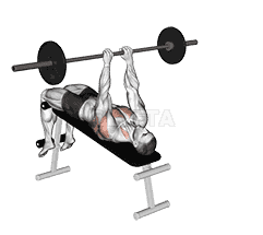 Barbell Decline Bent Arm Pullover demonstration