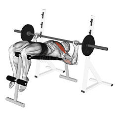 Barbell Decline Wide-grip Press demonstration