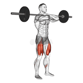 Barbell Front Squat demonstration