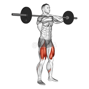 Front Squat demonstration