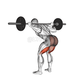 Barbell Good Morning demonstration