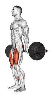 Barbell Hack Squat demonstration