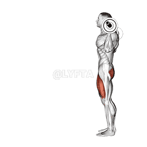 Barbell Lunge demonstration