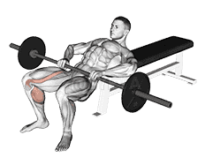 Barbell Lying Lifting demonstration