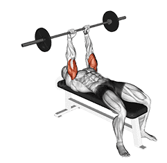 Barbell Lying Triceps Extension demonstration