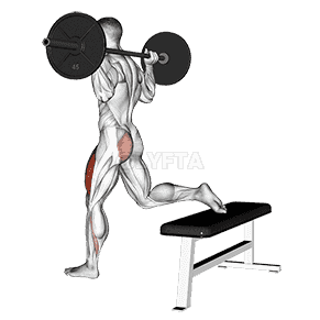 Barbell One Leg Squat demonstration