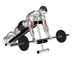 Barbell Prone Incline Curl demonstration