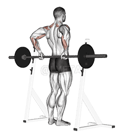 Barbell Rear Delt Raise demonstration