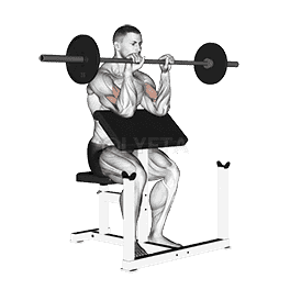 Reverse Preacher Curl demonstration