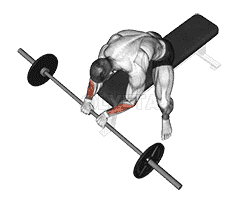 Reverse Wrist Curl demonstration