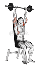 Barbell Seated Bradford Rocky Press demonstration