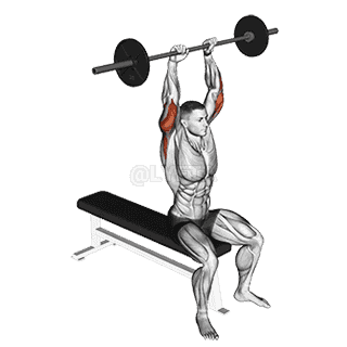 Seated Overhead Triceps Extension demonstration