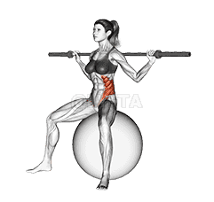 Barbell Seated Twist demonstration