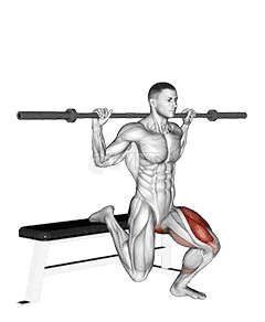 Barbell Single Leg Split Squat demonstration