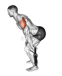 Barbell Skier demonstration