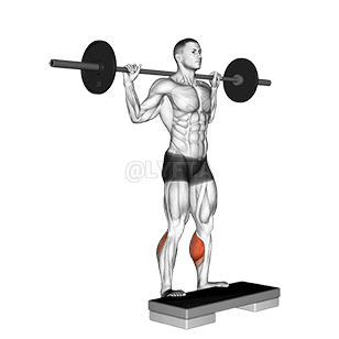Barbell Standing Leg Calf Raise demonstration