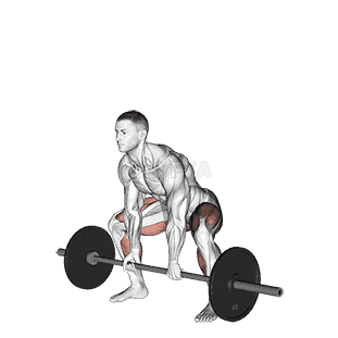 Barbell Sumo Deadlift demonstration