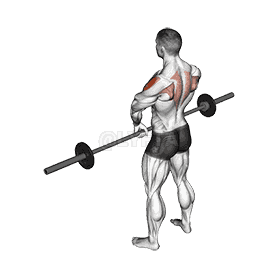 Upright Row demonstration