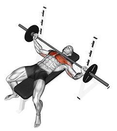 Barbell Wide Bench Press demonstration