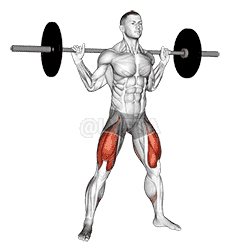 Barbell Wide Squat demonstration