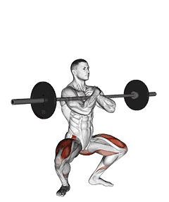 Barbell Zercher Squat demonstration
