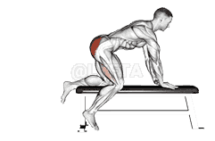 Bench Hip Extension demonstration