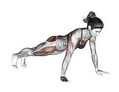 Bent Side Knee Push-up demonstration