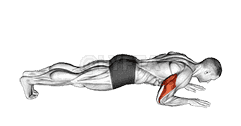 Body-Up demonstration