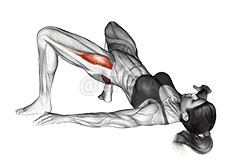 Bridge Hip Abduction demonstration