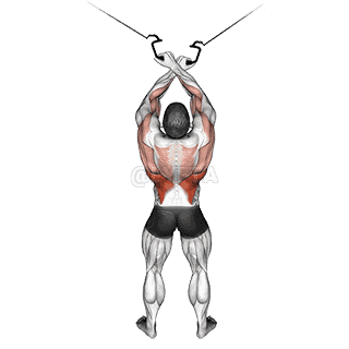 Cross-over Lateral Pulldown demonstration