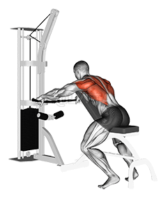 Cable Decline Seated Wide-grip Row demonstration