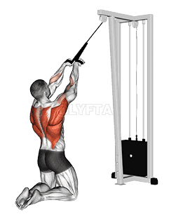 Cable High Row demonstration