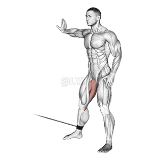 Cable Hip Adduction demonstration