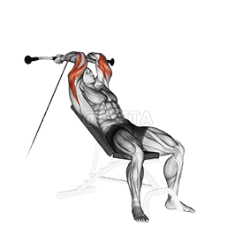 Cable Incline Triceps Extension demonstration