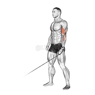 One Arm Curl demonstration