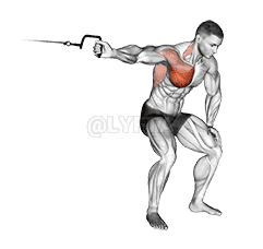 Cable One Arm Lateral Bent-over demonstration