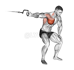 Cable One Arm Lateral Bent-over demonstration