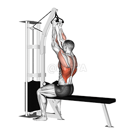 Seated High Row demonstration