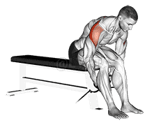 Seated Rear Lateral Raise demonstration
