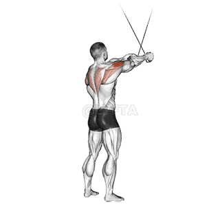 Cable Standing Cross-over High Reverse Fly demonstration