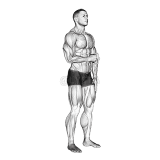 Cable Standing Shoulder External Rotation demonstration
