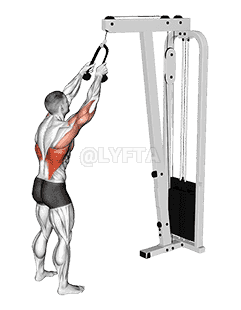 Cable Straight Arm Pulldown demonstration