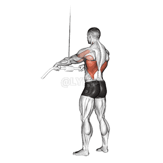 Cable Straight Arm Pulldown demonstration