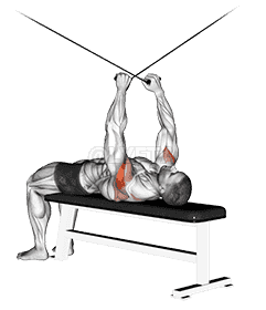 Cable Supine Reverse Fly demonstration